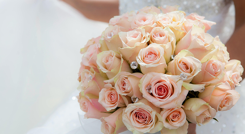 https://www.loversandfriends.wedding/wp-content/uploads/2024/05/cropped-flower-1.jpg